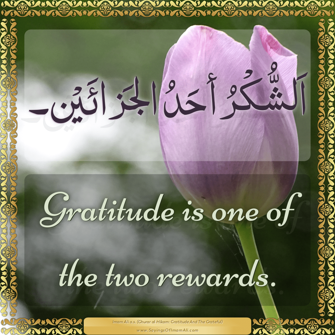 Gratitude is one of the two rewards.